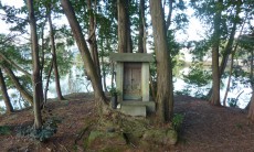 五郎池のこんもりした木立の中に浅間神社が祀られているよ。