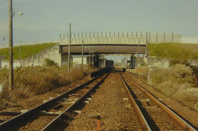 P1020853