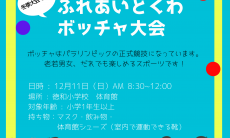 ふれあいとくわ　ボッチャ大会